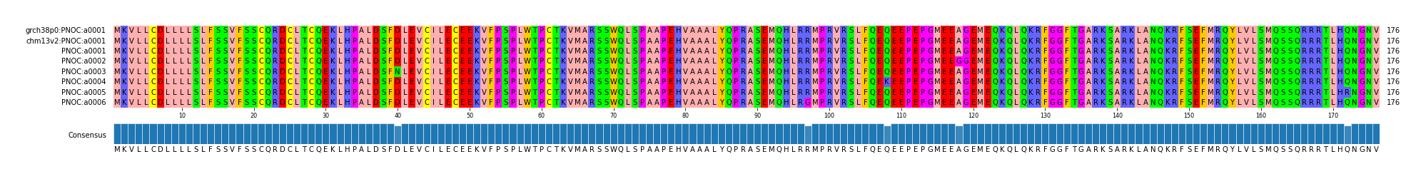 Multiple Alignments (by translate haplotype frequency)