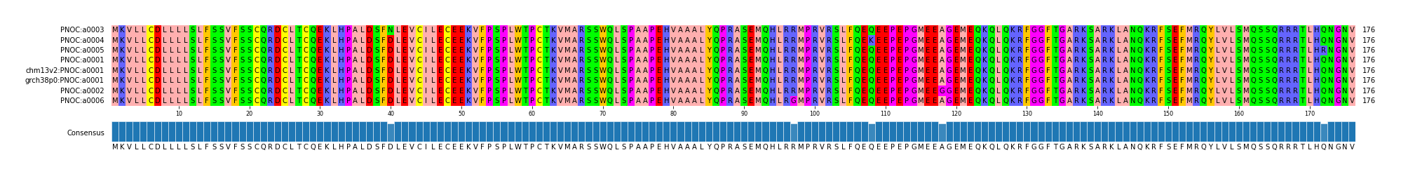 Multiple Alignments (by translate haplotype similarity)
