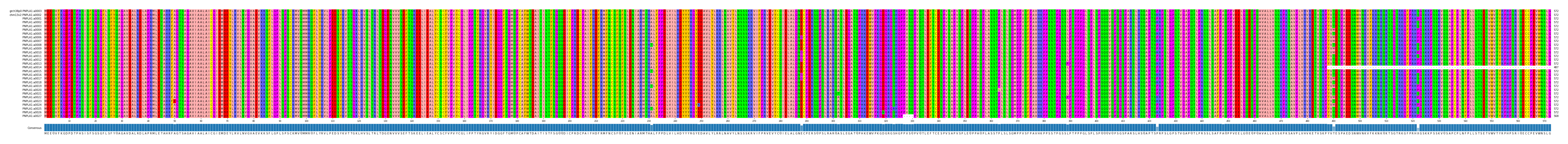 Multiple Alignments (by translate haplotype frequency)