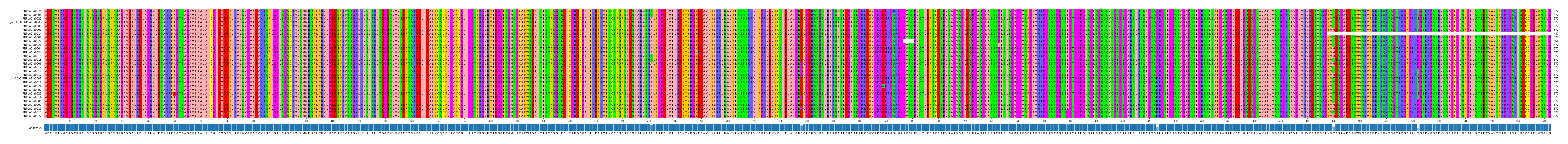 Multiple Alignments (by translate haplotype similarity)