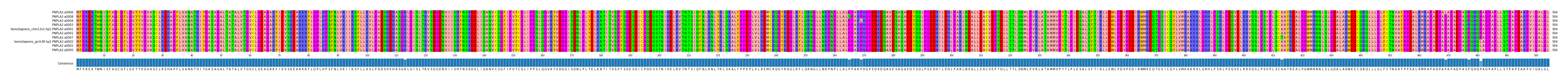 Multiple Alignments (by translate haplotype similarity)