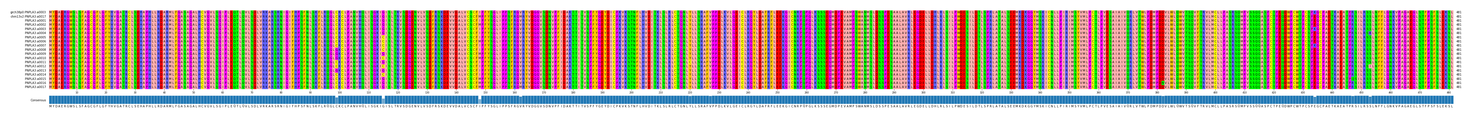 Multiple Alignments (by translate haplotype frequency)