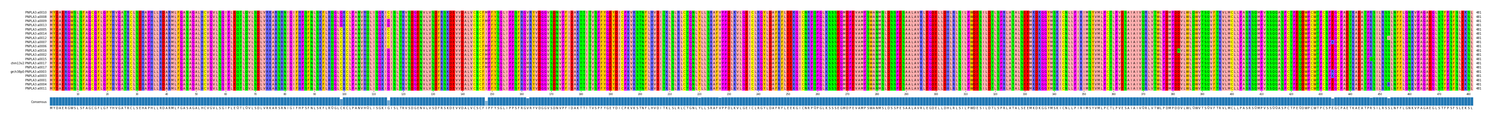 Multiple Alignments (by translate haplotype similarity)
