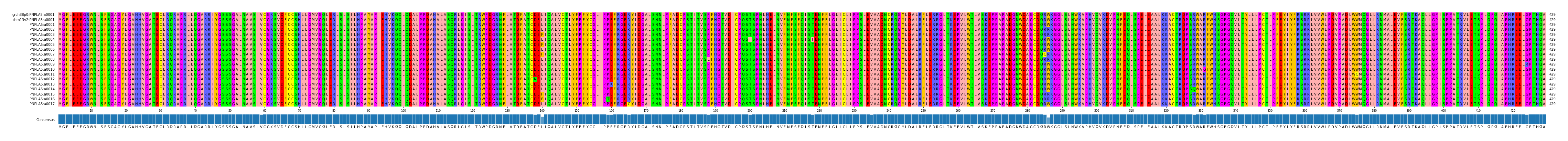 Multiple Alignments (by translate haplotype frequency)