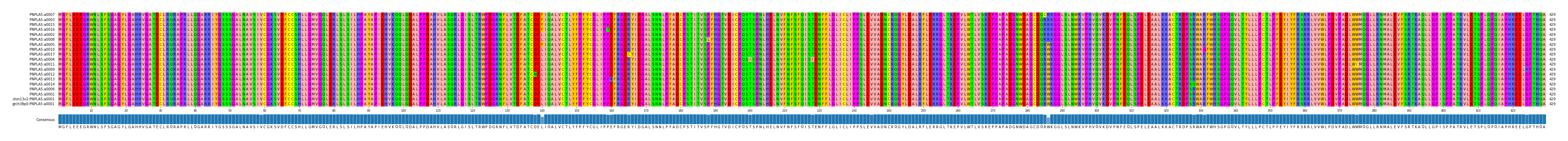 Multiple Alignments (by translate haplotype similarity)