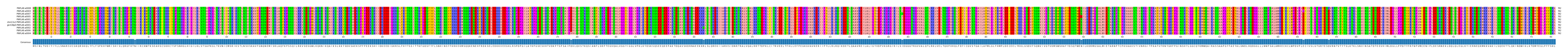 Multiple Alignments (by translate haplotype similarity)