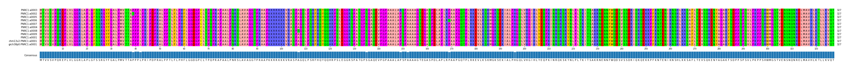Multiple Alignments (by translate haplotype similarity)