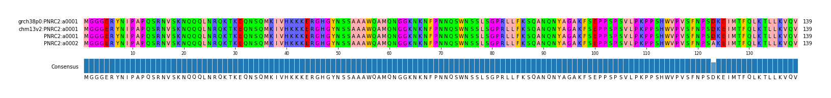 Multiple Alignments (by translate haplotype similarity)