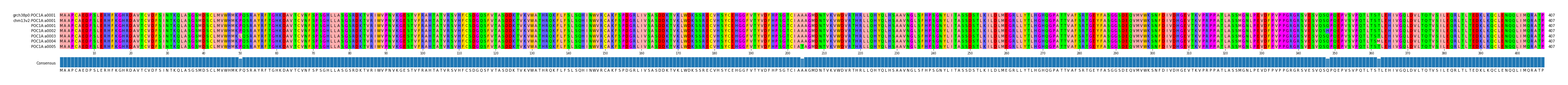Multiple Alignments (by translate haplotype frequency)