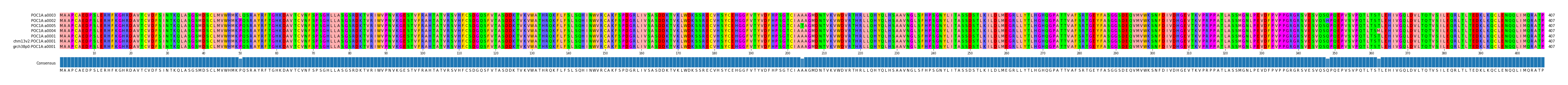 Multiple Alignments (by translate haplotype similarity)