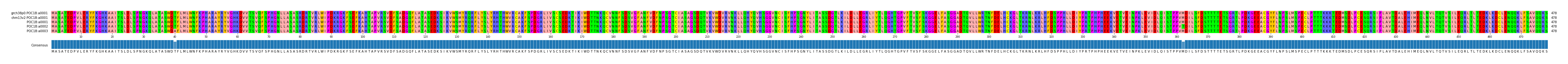 Multiple Alignments (by translate haplotype frequency)