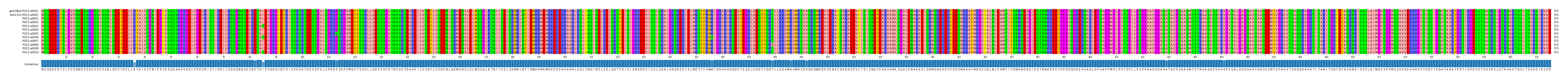 Multiple Alignments (by translate haplotype frequency)