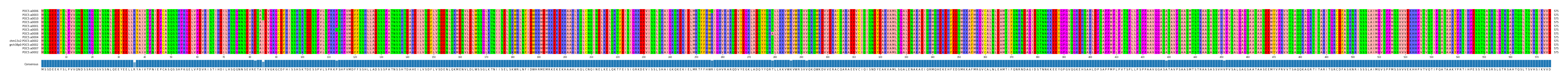 Multiple Alignments (by translate haplotype similarity)
