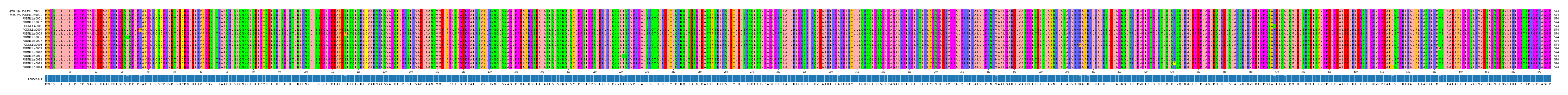 Multiple Alignments (by translate haplotype frequency)