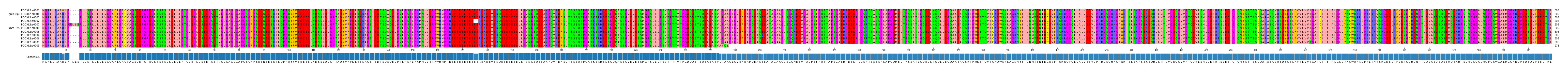 Multiple Alignments (by translate haplotype similarity)