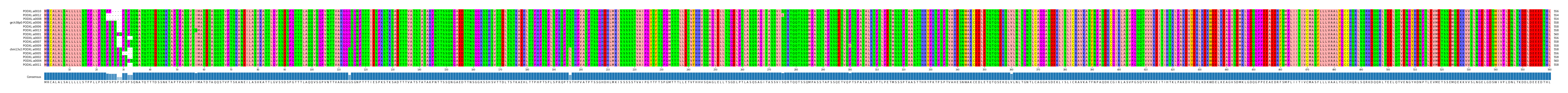 Multiple Alignments (by translate haplotype similarity)