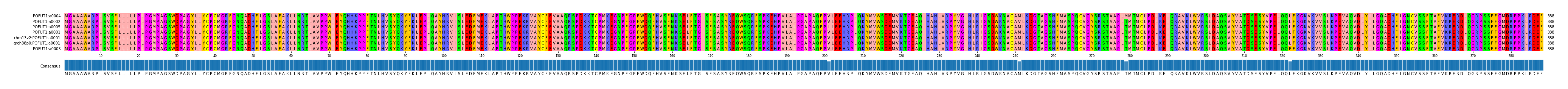 Multiple Alignments (by translate haplotype similarity)