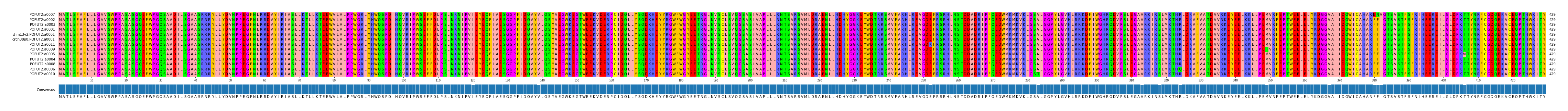 Multiple Alignments (by translate haplotype similarity)