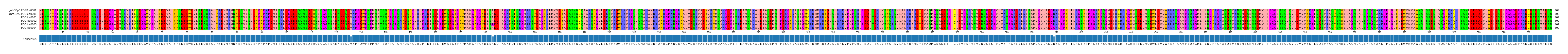 Multiple Alignments (by translate haplotype frequency)