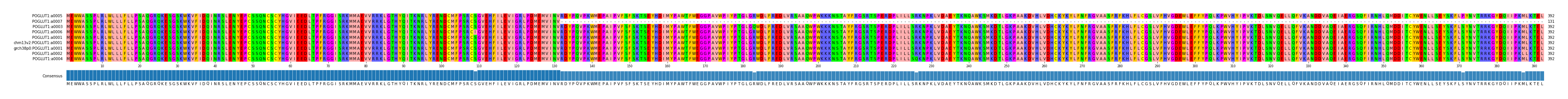 Multiple Alignments (by translate haplotype similarity)