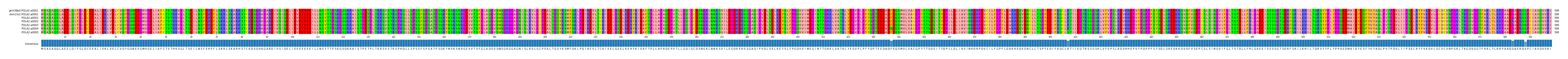 Multiple Alignments (by translate haplotype frequency)