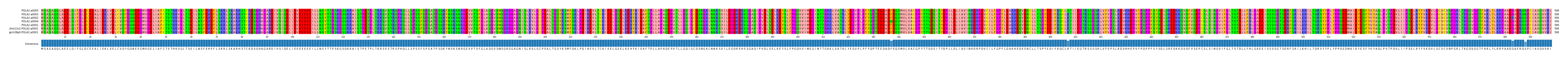 Multiple Alignments (by translate haplotype similarity)