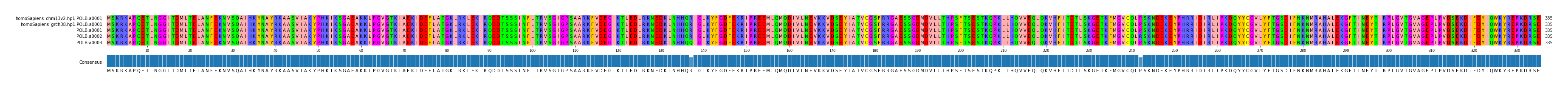 Multiple Alignments (by translate haplotype frequency)