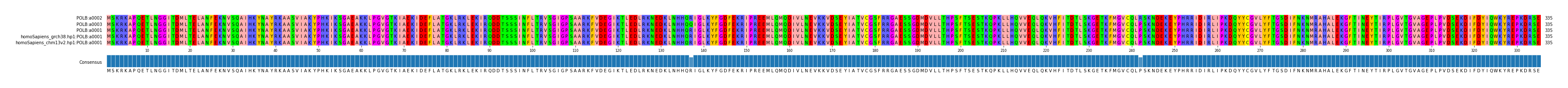 Multiple Alignments (by translate haplotype similarity)