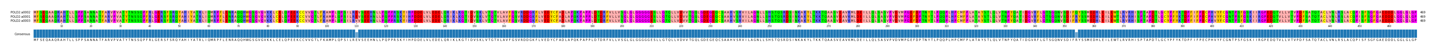 Multiple Alignments (by translate haplotype similarity)