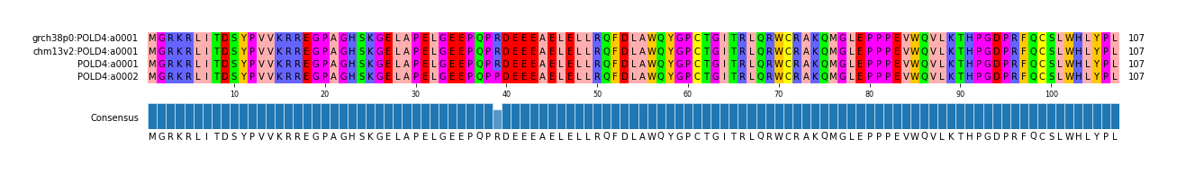 Multiple Alignments (by translate haplotype similarity)