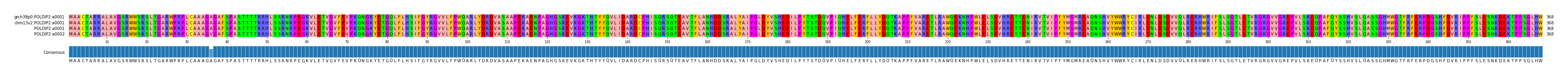 Multiple Alignments (by translate haplotype similarity)
