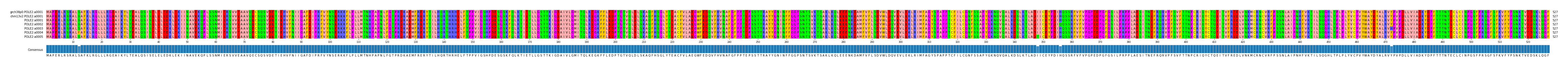 Multiple Alignments (by translate haplotype frequency)
