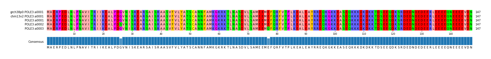 Multiple Alignments (by translate haplotype frequency)
