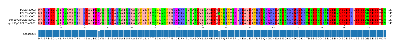 Multiple Alignments (by translate haplotype similarity)