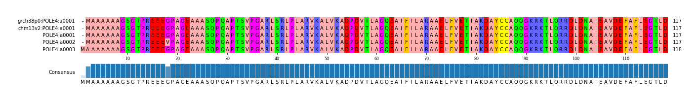 Multiple Alignments (by translate haplotype frequency)