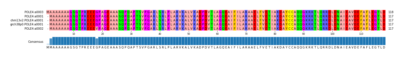 Multiple Alignments (by translate haplotype similarity)