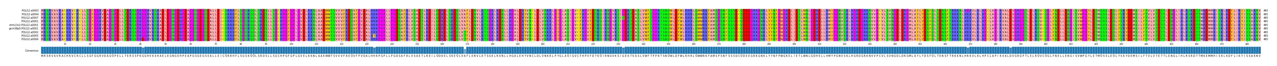 Multiple Alignments (by translate haplotype similarity)