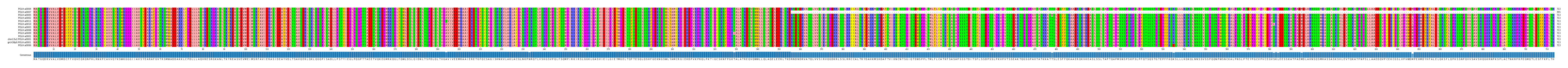 Multiple Alignments (by translate haplotype similarity)