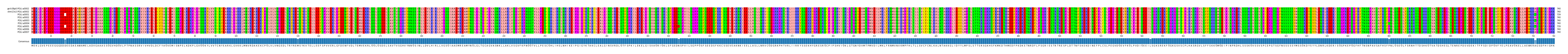 Multiple Alignments (by translate haplotype frequency)