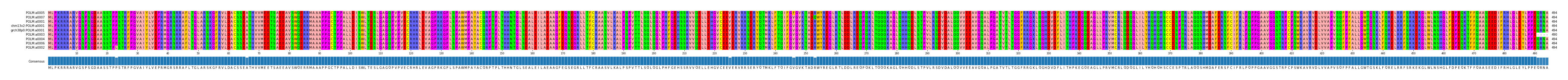 Multiple Alignments (by translate haplotype similarity)