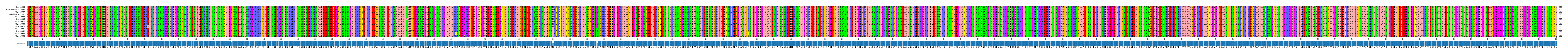 Multiple Alignments (by translate haplotype similarity)