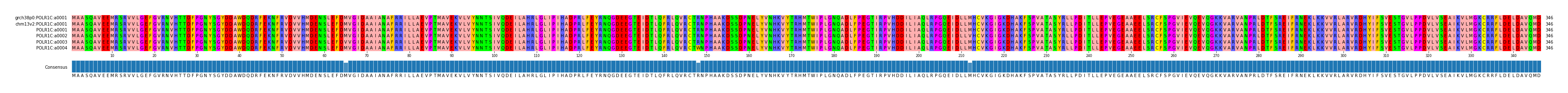 Multiple Alignments (by translate haplotype frequency)