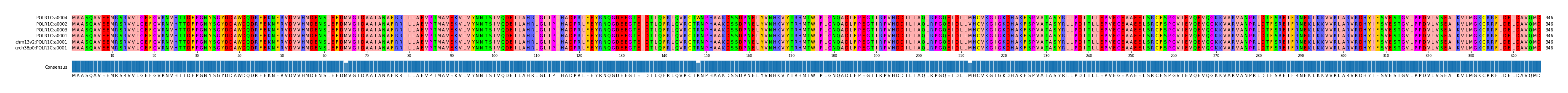 Multiple Alignments (by translate haplotype similarity)