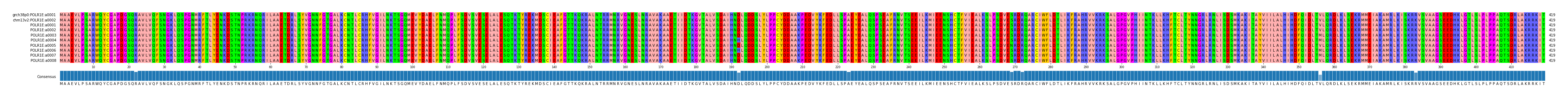 Multiple Alignments (by translate haplotype frequency)