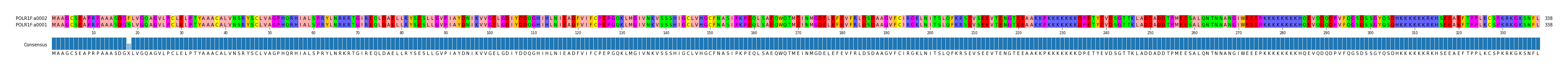 Multiple Alignments (by translate haplotype similarity)