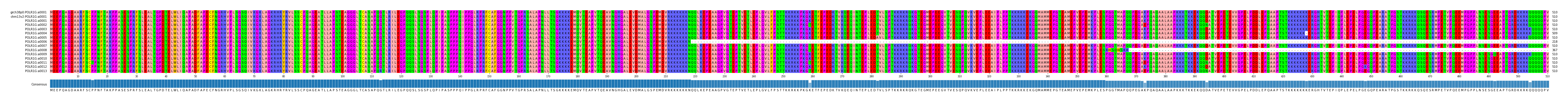 Multiple Alignments (by translate haplotype frequency)