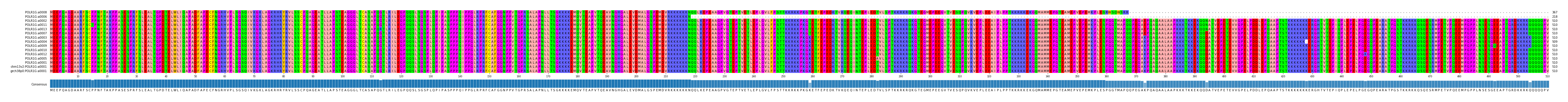 Multiple Alignments (by translate haplotype similarity)
