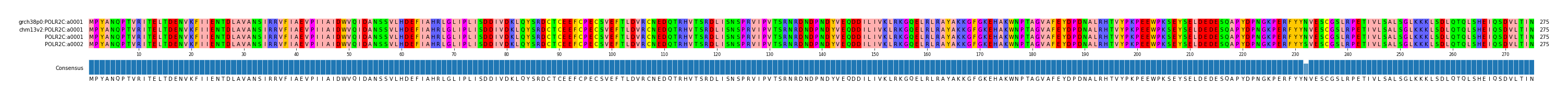 Multiple Alignments (by translate haplotype similarity)