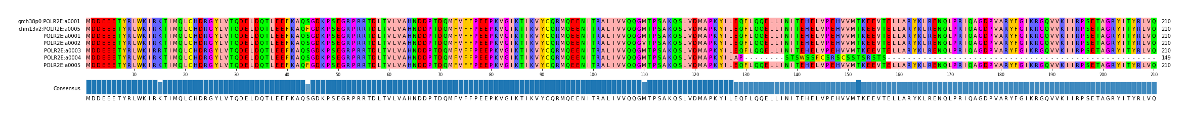 Multiple Alignments (by translate haplotype frequency)