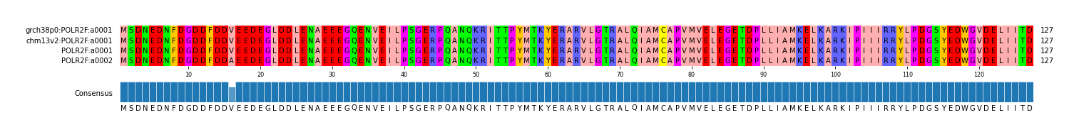 Multiple Alignments (by translate haplotype similarity)